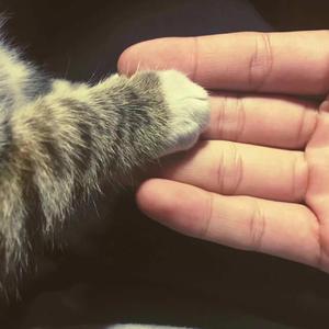 GA丫SEⅹ老头巨大
